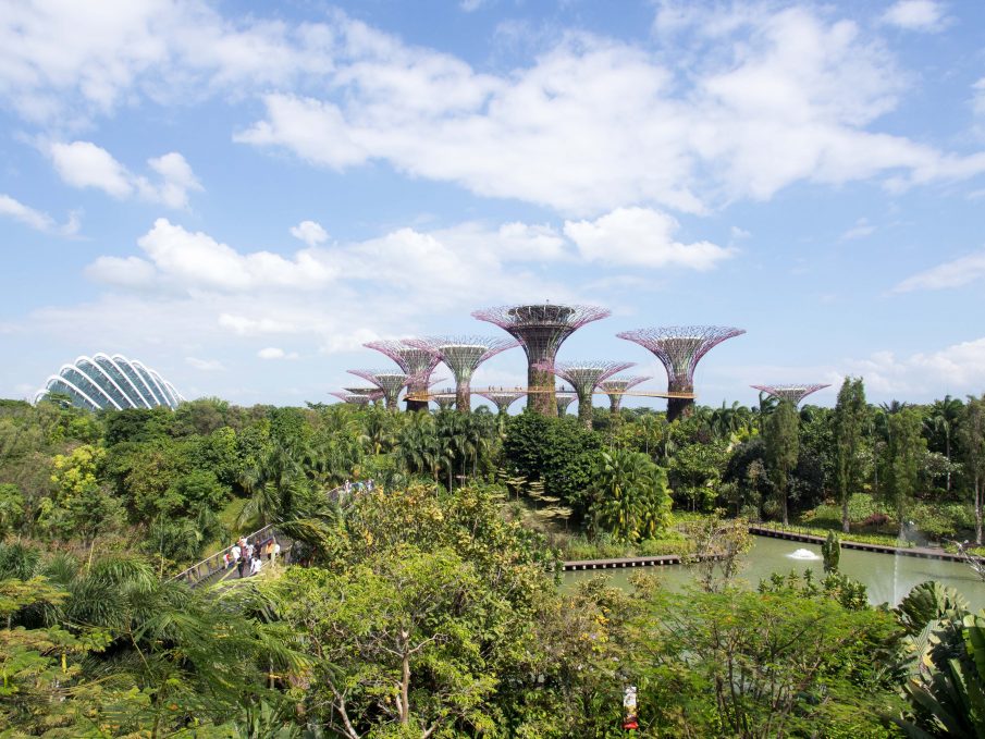 Garden by the Bay